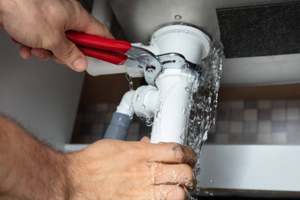 Best Flood restoration services  in Rosemont, IL