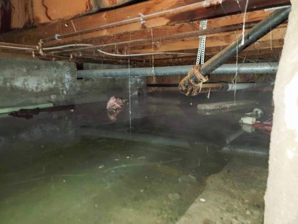 Best 24-hour water damage restoration  in Rosemont, IL