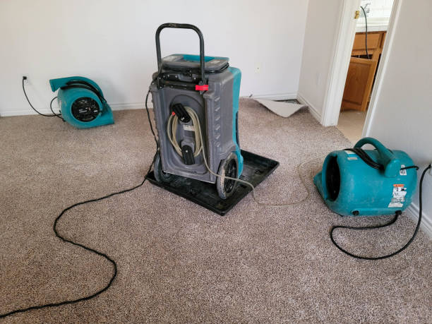 Carpet water damage restoration in IL