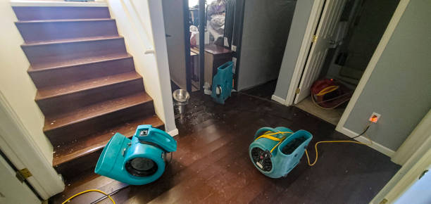 Best Residential water damage restoration  in Rosemont, IL