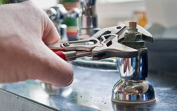 Best Flooded house restoration  in Rosemont, IL