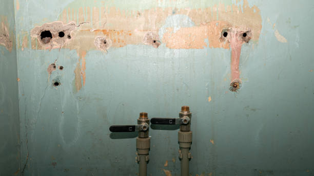 Carpet water damage restoration in IL