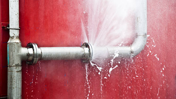 Best Carpet water damage restoration  in Rosemont, IL