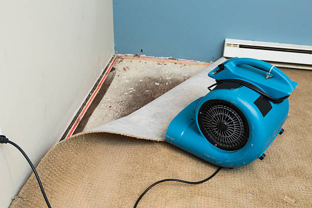 Best Commercial water damage restoration  in Rosemont, IL